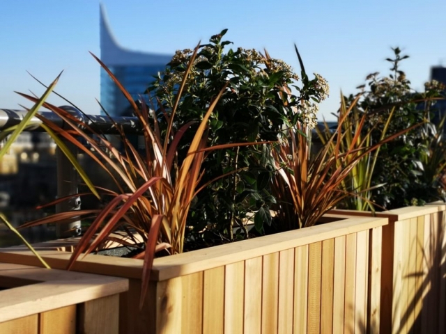 cedar clad planters on a balcony in Reading
