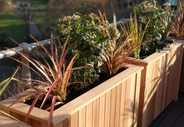 Red Cedar clad bespoke built wooden planters